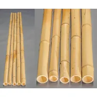 20er Set Bambusrohr gelb, Moso Bambus, gebleicht, Durch. 2,8- 3,5cm, Länge 300cm