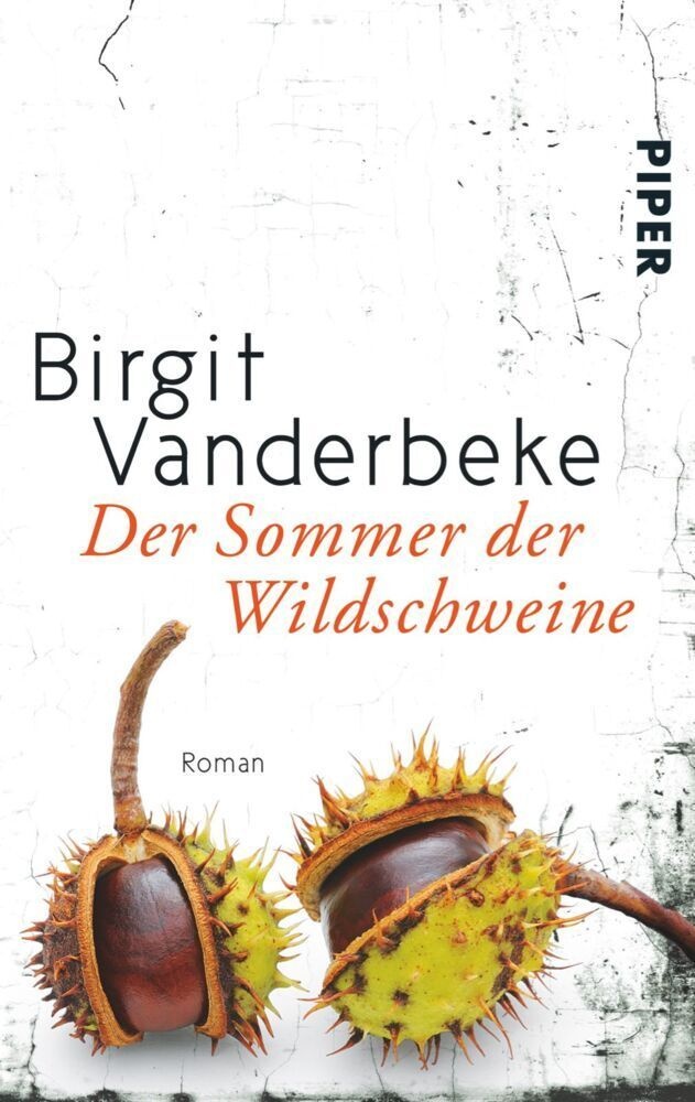 Der Sommer Der Wildschweine - Birgit Vanderbeke  Taschenbuch