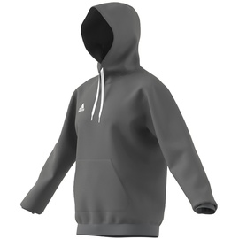 Adidas Entrada 22 Sweat Hoodie Team Grey Four, M