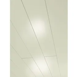 PARADOR Dekorpaneele »Rapido«, weiß Hochglanz, Holzwerkstoff, Stärke: 12 mm - weiss