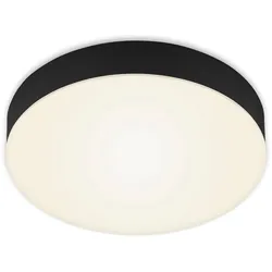 BRILONER LEUCHTEN Aufbauleuchte "Flame", schwarz, Lampen