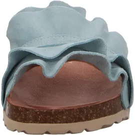 Verbenas Rocio Roda himmelblau 37