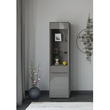 Set One by Musterring Standvitrine Reno 48 x 42 x 185 cm Grau