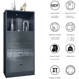 Vladon Pino V3 56 x 125 x 36 cm braun / anthrazit matt