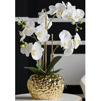 DAHLIASTUDIOS Kunstpflanze Orchidee Phalaenopsis mit Gold-farbigem Keramiktopf - ca. 53cm hoch (weiß)