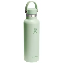 Hydro Flask Standard Mouth Aloe 0,62 l