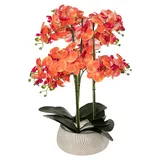 Atmosphera Créateur d'intérieur Künstliche Orchidee im Blumentopf, 65 cm - Orange
