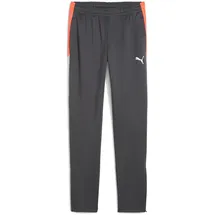 Puma IndividualLIGA Training shadow gray/puma white/glowing red 176