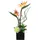 I.GE.A. Kunstpflanze Strelitzie/Sonnenblumen, I.GE.A., Höhe 45 cm orange