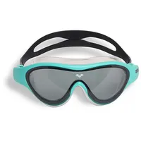 Arena The One Mask Jr 004309