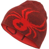 Spyder Reversible BUG Hat volcano (620)