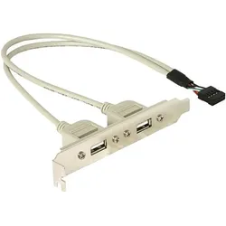 Delock USB-Konsole - 10-poliger USB-Header (M)