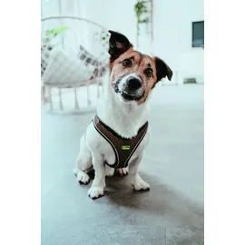 Hunter Hilo Comfort Hundehalsband Braun M