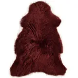 KUHFELL online & NOMAD Fellteppich Echtes großes Lammfell Schaffell Teppich in Weiß Schwarz Blau Braun, Atmungsaktiv, Temperaturausgleichend, Antibakteriell rot 100 cm