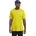 T M Explore Chartreuse L