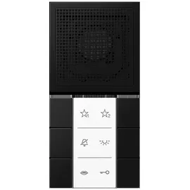 Jung Audio-Innenstation SI AI LS 6 SWM