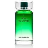 100 ml