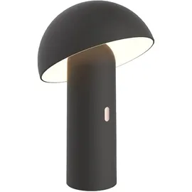 Lumisky Tischleuchte Schwarz