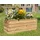 Kiehn-Holz Kiehnholz Pflanzkasten 115 x 40 x 43 cm Beige
