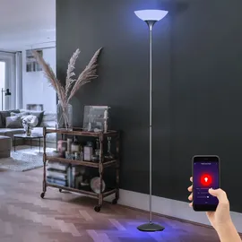 RL Smart Home Steh Lampe Decken Fluter App-und Sprachsteuerung Leuchte dimmbar im Set inkl. RGB LED Leuchtmittel