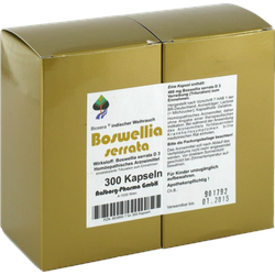 Boswellia Serrata Bioxera Kapseln 300 St