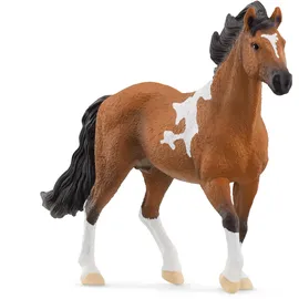 Schleich Schleich® Horse Club Mangalarga Marchador Hengst