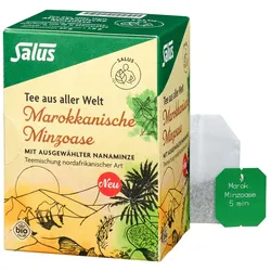 MAROKKANISCHE Minzoase Bio Salus Filterbeutel 15 St