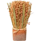 creativ home Trockenblume CREATIV HOME "Trockenblumen imTopf", rosa, B:10cm H:30cm, Kunstpflanzen