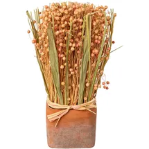 creativ home Trockenblume CREATIV HOME "Trockenblumen imTopf", rosa, B:10cm H:30cm, Kunstpflanzen