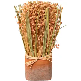 creativ home Trockenblume CREATIV HOME "Trockenblumen imTopf", rosa, B:10cm H:30cm, Kunstpflanzen