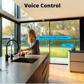 Sonoff Zigbee