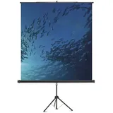 Magnetoplan Cinestativ 180x180 1:1