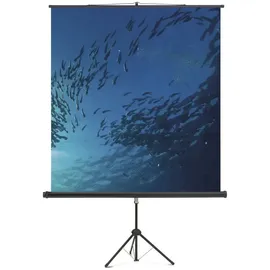 Magnetoplan Cinestativ 180x180 1:1