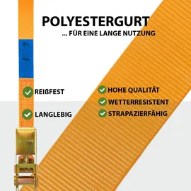 Trutzholm Spanngurt 6 m 800 kg