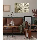 Queence Wandsticker QUEENCE "Lisa", beige, B:90cm H:60cm T:0,1cm, Folie, Wandtattoos, Selbstklebend, kinderleichte Anbringung