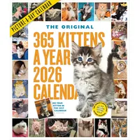Workman 365 Kittens-A-Year Wall Calendar 2026
