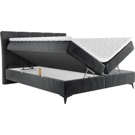 Mirjan24 Boxspringbett Forever, Bett mit zwei Bettkästen, Stilvoll Schlafzimmer Polsterbett (Fresh 32, Größe: 160x200 cm) - Grau
