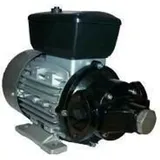 Dieselpumpe 230 Volt 120 LPM