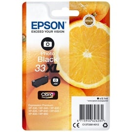 Epson 33XL photo schwarz