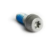 MAGURA PM-Schrauben TORX T25 alu 10ST.