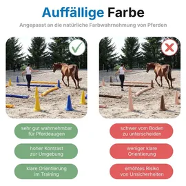 Dönges Balken Set 4 Stück Leder 300 x 17 x 10 cm Gelb/Blau