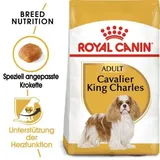 Royal Canin Cavalier King Charles Adult 7,5 kg