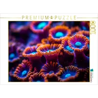 Calvendo Puzzle Ozeanische Juwelen 1000 Teile Lege-Größe 64x48cm Foto-Puzzle