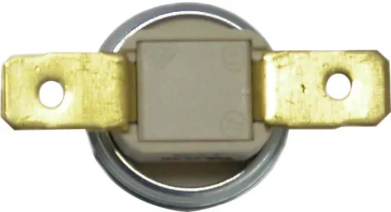 Reich Ersatzthermostat