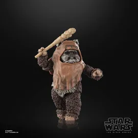 Hasbro Star Wars Episode VI Black Series Wicket 15 cm
