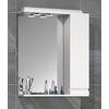 Badspiegel Wandspiegel Breite 60 cm Hängespiegel Spiegelschrank Badezimmer Drehtür grifflos Beleuchtung Silora L