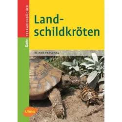 Landschildkröten