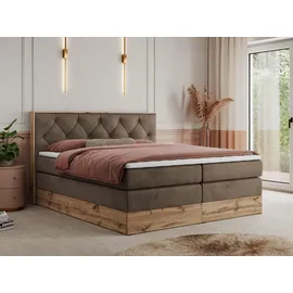 MKS Boxspringbett 160 x 200 cm H4 Braun