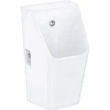 Hansgrohe EluPura Original Q Urinal, spülrandlos, Zulauf hinten, 320x305x600mm, weiß, 60127450