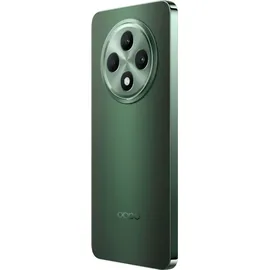 OPPO Reno12 FS 512 GB Olive Green